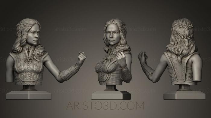 Busts and bas-reliefs of famous people (BUSTC_0154) 3D model for CNC machine